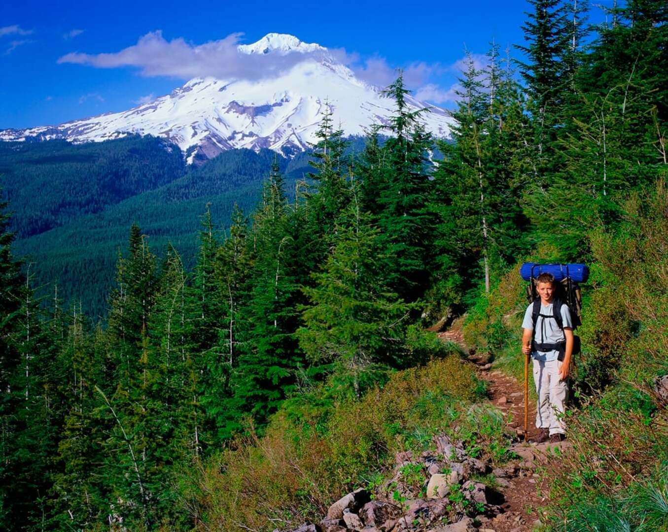 Mountaineering in Mount Hood National Forest